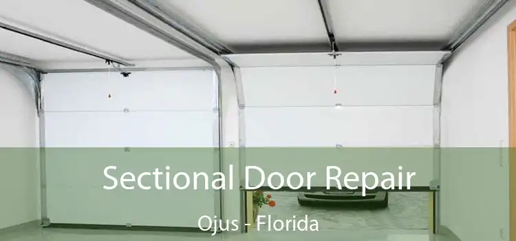 Sectional Door Repair Ojus - Florida