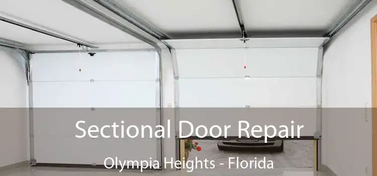 Sectional Door Repair Olympia Heights - Florida