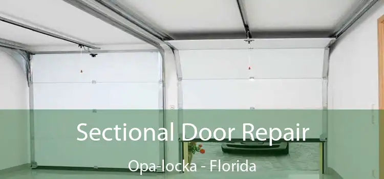 Sectional Door Repair Opa-locka - Florida