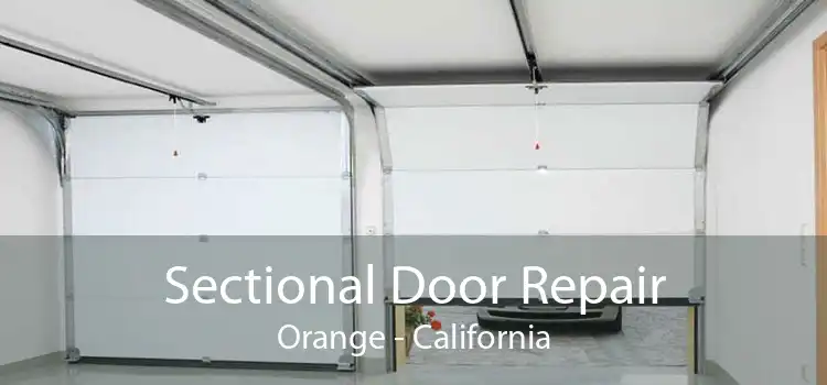Sectional Door Repair Orange - California
