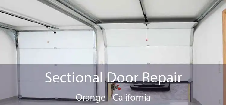 Sectional Door Repair Orange - California