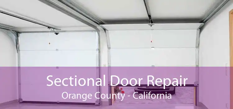 Sectional Door Repair Orange County - California