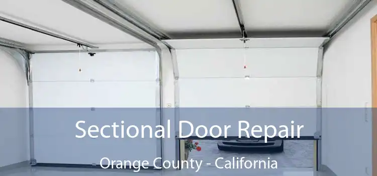 Sectional Door Repair Orange County - California