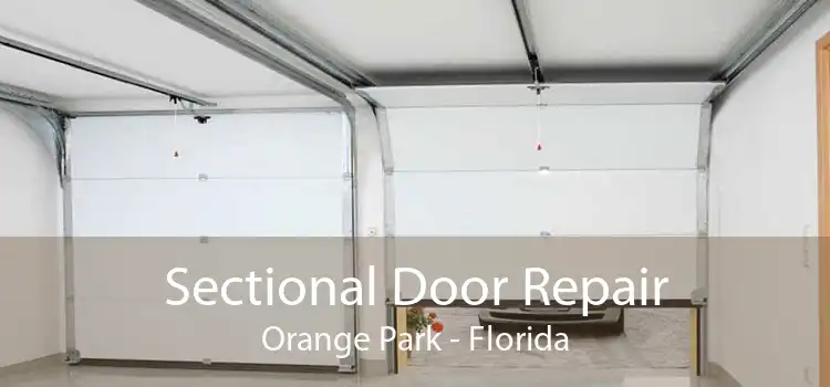 Sectional Door Repair Orange Park - Florida