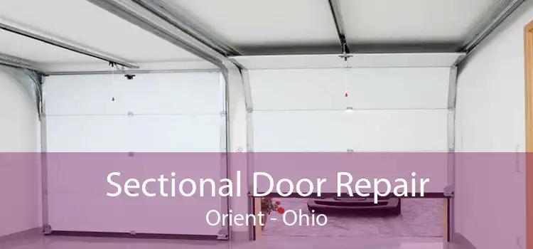 Sectional Door Repair Orient - Ohio