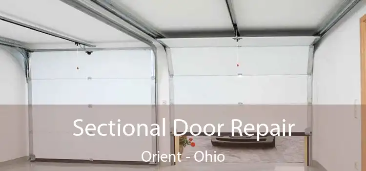 Sectional Door Repair Orient - Ohio