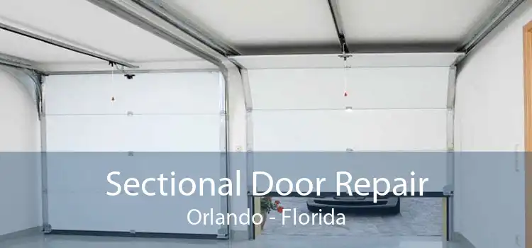 Sectional Door Repair Orlando - Florida