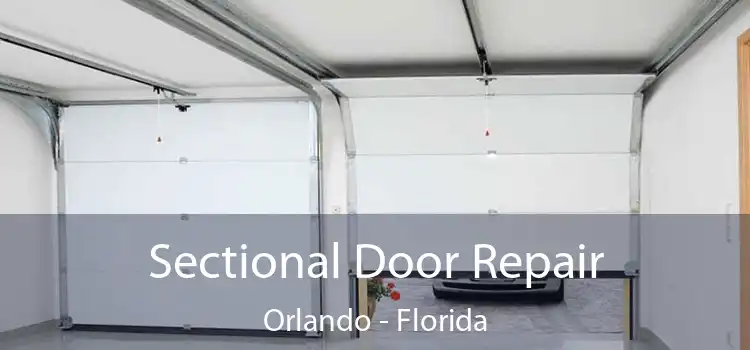 Sectional Door Repair Orlando - Florida