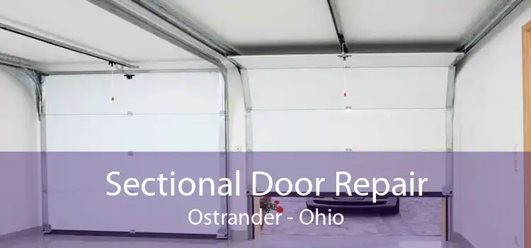 Sectional Door Repair Ostrander - Ohio