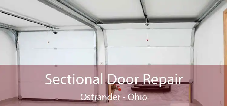 Sectional Door Repair Ostrander - Ohio