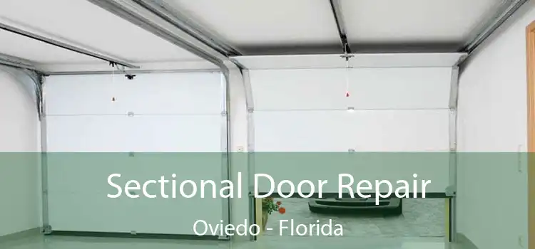 Sectional Door Repair Oviedo - Florida