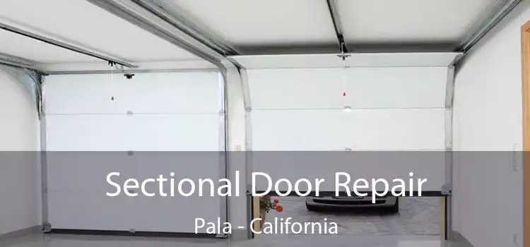 Sectional Door Repair Pala - California