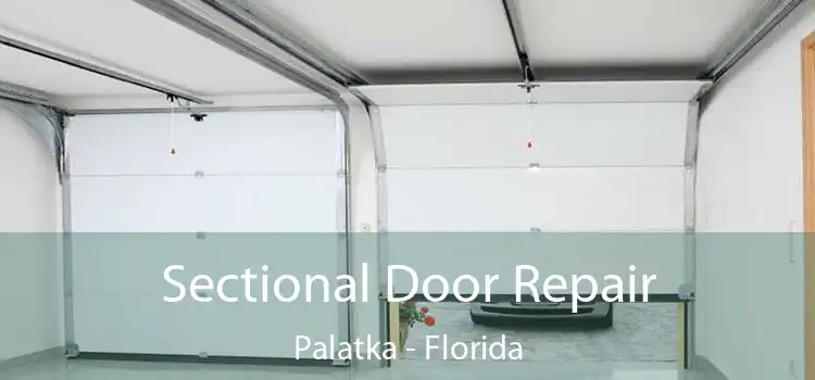 Sectional Door Repair Palatka - Florida