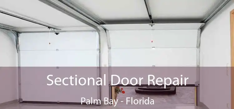 Sectional Door Repair Palm Bay - Florida