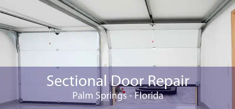 Sectional Door Repair Palm Springs - Florida
