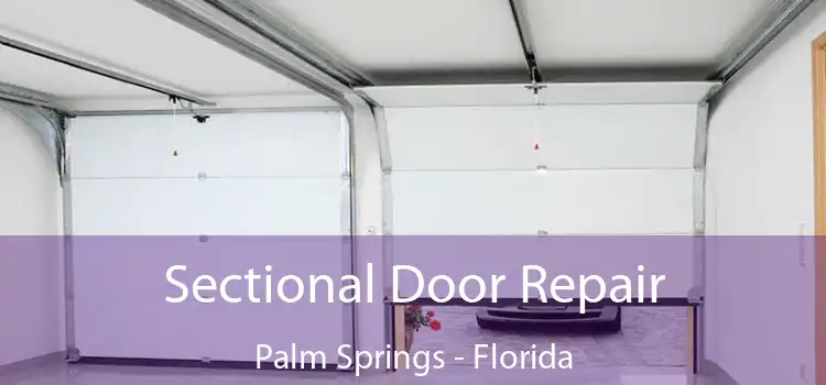 Sectional Door Repair Palm Springs - Florida