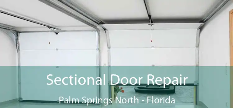 Sectional Door Repair Palm Springs North - Florida