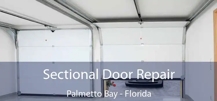 Sectional Door Repair Palmetto Bay - Florida