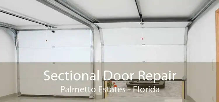 Sectional Door Repair Palmetto Estates - Florida