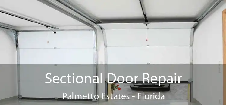 Sectional Door Repair Palmetto Estates - Florida