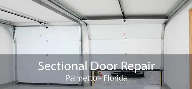 Sectional Door Repair Palmetto - Florida