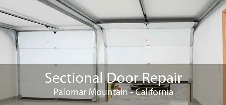 Sectional Door Repair Palomar Mountain - California