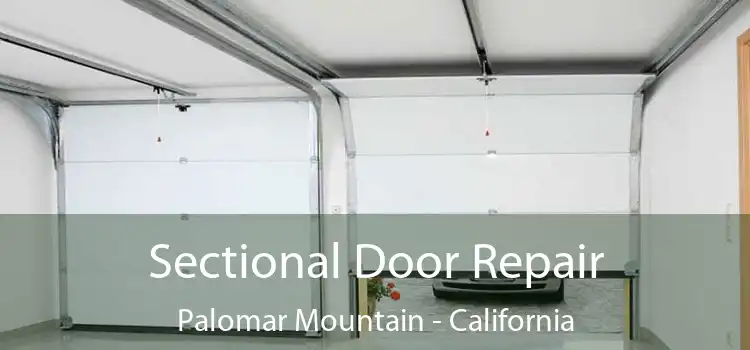 Sectional Door Repair Palomar Mountain - California