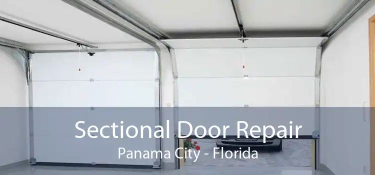 Sectional Door Repair Panama City - Florida