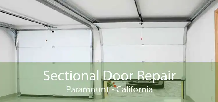 Sectional Door Repair Paramount - California