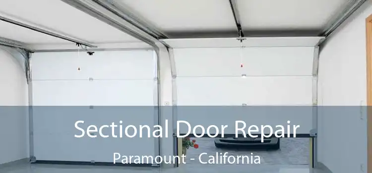 Sectional Door Repair Paramount - California