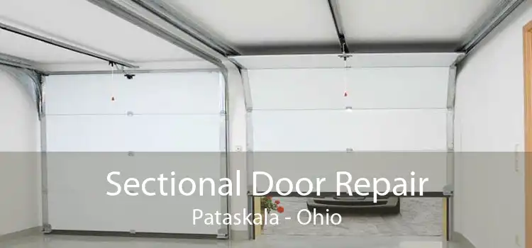 Sectional Door Repair Pataskala - Ohio
