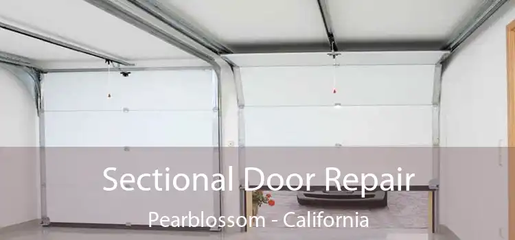 Sectional Door Repair Pearblossom - California