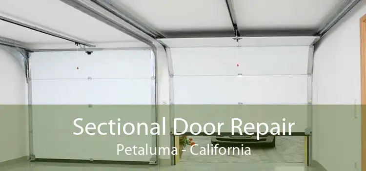 Sectional Door Repair Petaluma - California