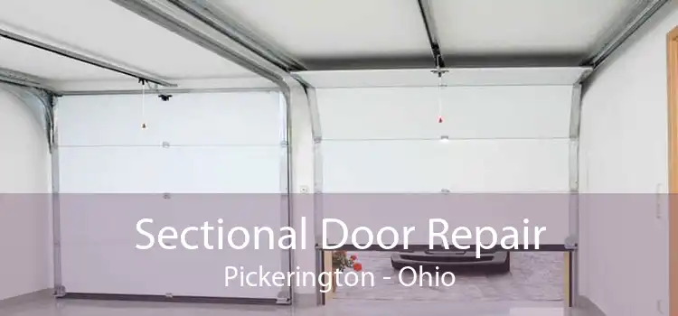Sectional Door Repair Pickerington - Ohio