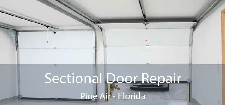 Sectional Door Repair Pine Air - Florida