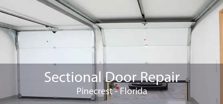 Sectional Door Repair Pinecrest - Florida
