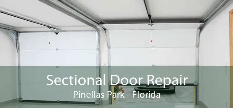 Sectional Door Repair Pinellas Park - Florida