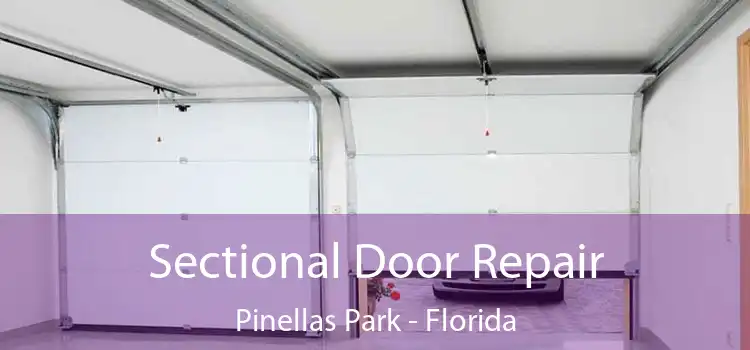 Sectional Door Repair Pinellas Park - Florida