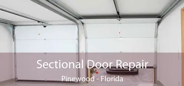 Sectional Door Repair Pinewood - Florida