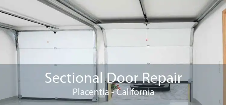Sectional Door Repair Placentia - California