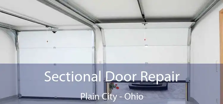 Sectional Door Repair Plain City - Ohio