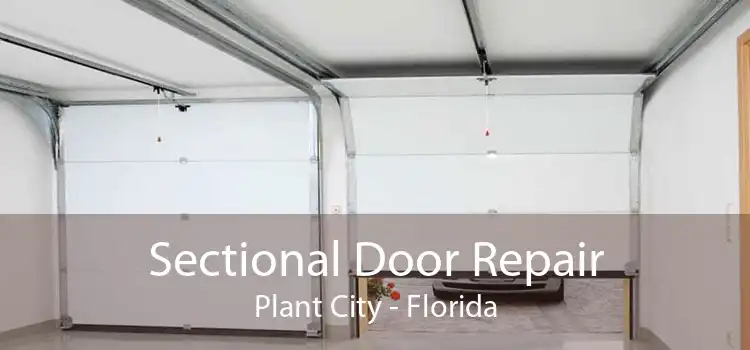 Sectional Door Repair Plant City - Florida