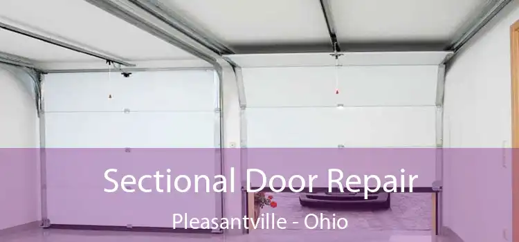 Sectional Door Repair Pleasantville - Ohio