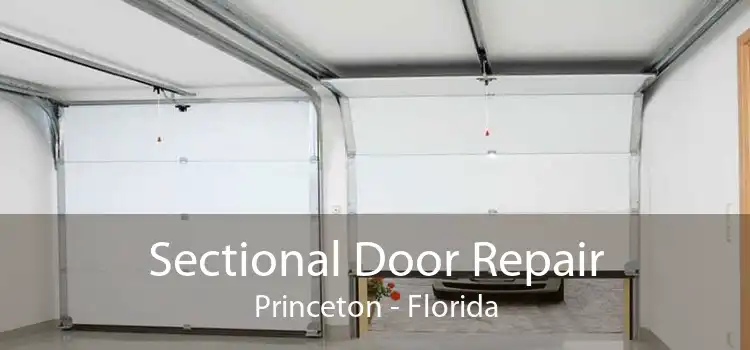 Sectional Door Repair Princeton - Florida