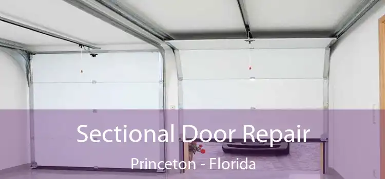 Sectional Door Repair Princeton - Florida