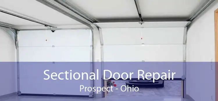 Sectional Door Repair Prospect - Ohio