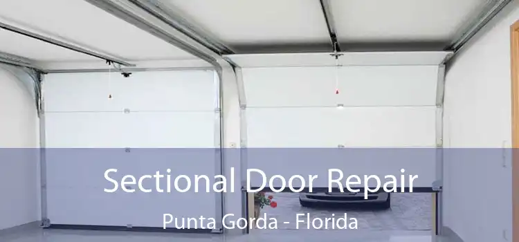 Sectional Door Repair Punta Gorda - Florida