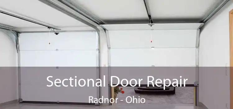 Sectional Door Repair Radnor - Ohio