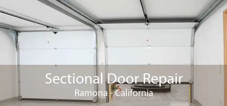 Sectional Door Repair Ramona - California