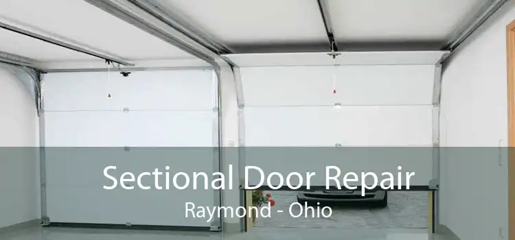 Sectional Door Repair Raymond - Ohio
